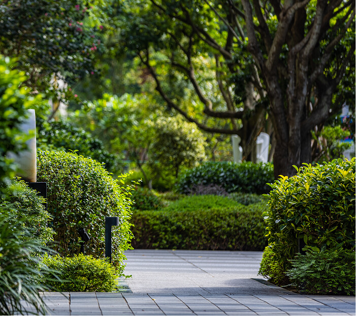 群山凝望 遍覽三峽